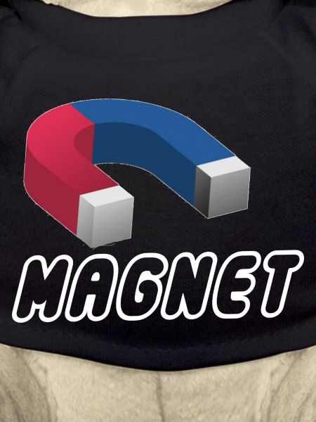MAGNET