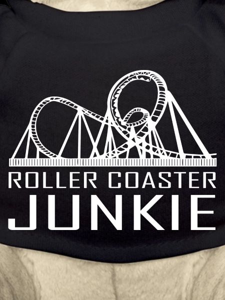 Rollercoaster Achterbahn