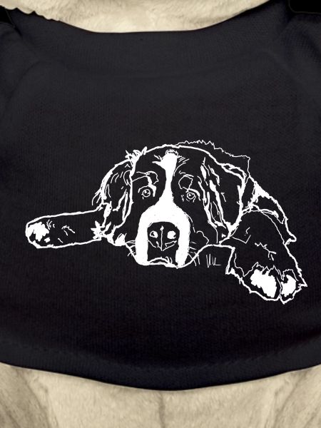 Bernese Mountain Dog