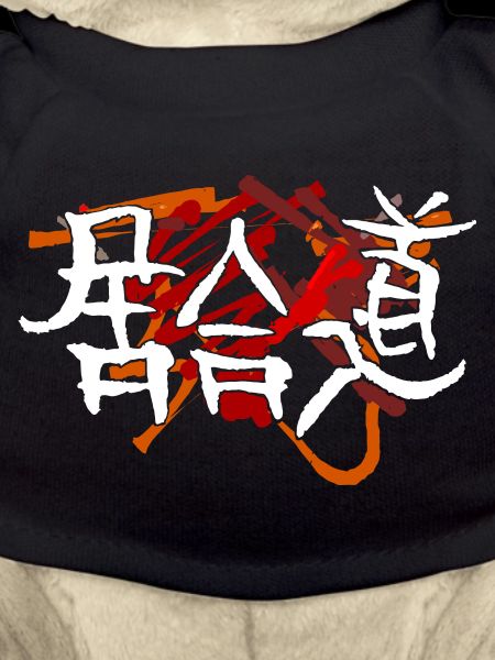 Iaido