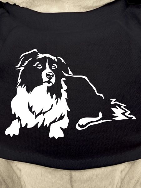 Border Collie "Black Edition"