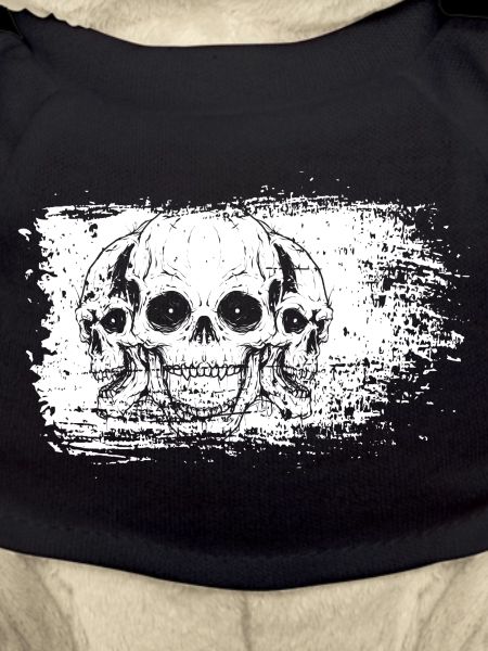 Bleached Frame Skulls