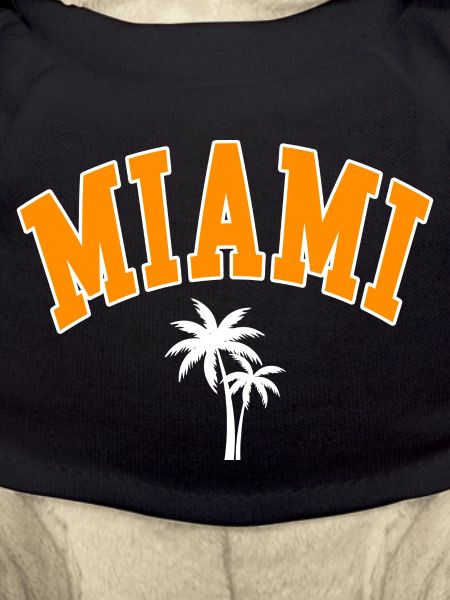 miami palms orange