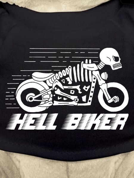 Motorcycle skeleton white