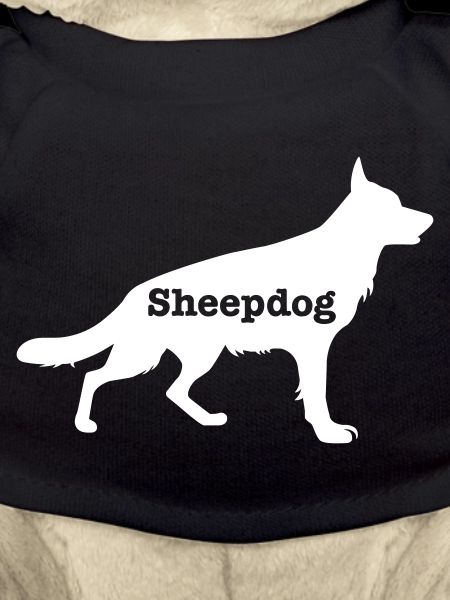 Sheepdog