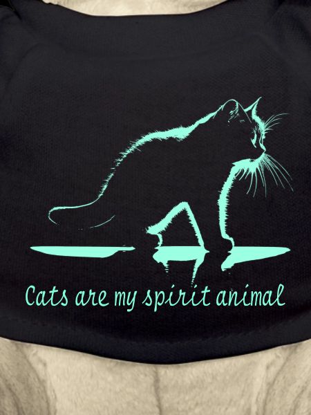 animal chat