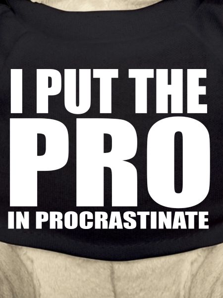 Procrastinate quote