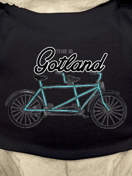 C’est Gotland - Vélo tandem