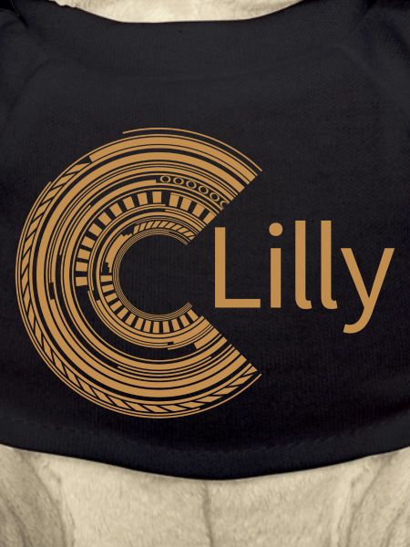 For Lilly