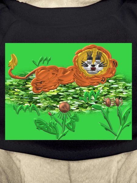 "Der kleiner Löwe"