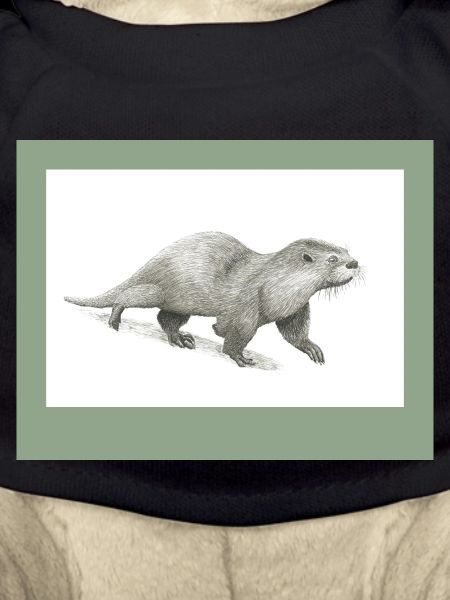 230909 Otter 3
