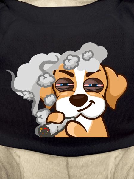 Sneaky Dutchmann Beagle