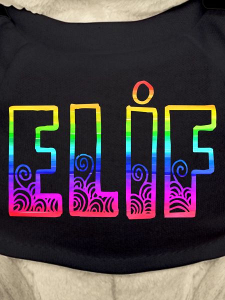 Elif RS Arc-en-ciel