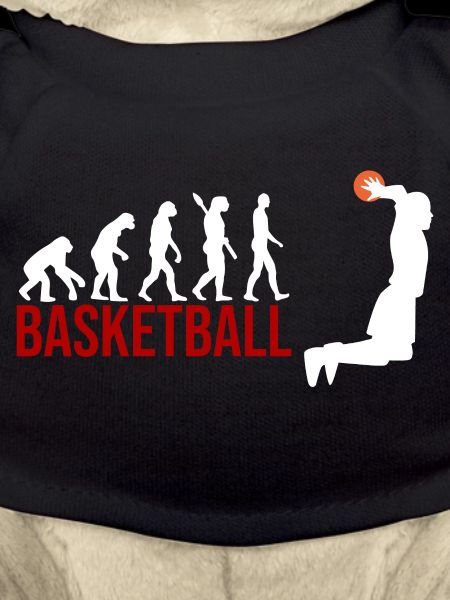 Evolution Basketball