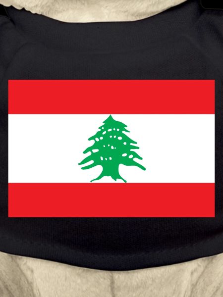 Libanon Flagge