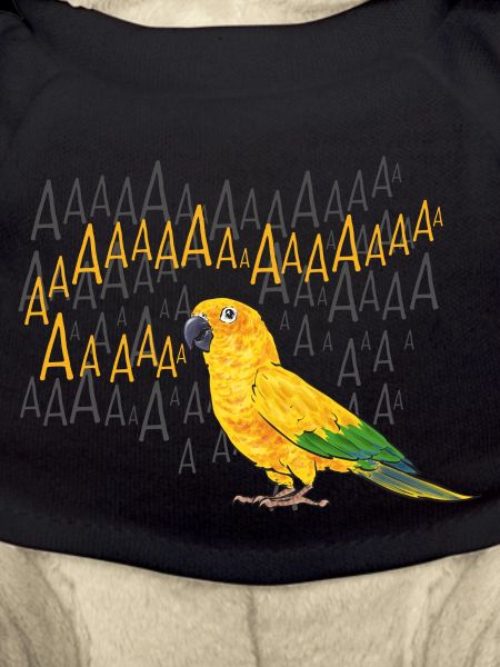 Parakeet Parrot Parakeet Bird