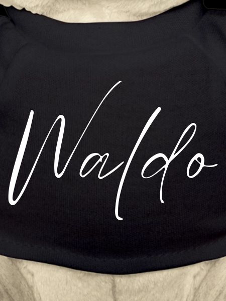 Waldo Name T-Shirt Geschenk Für Männer