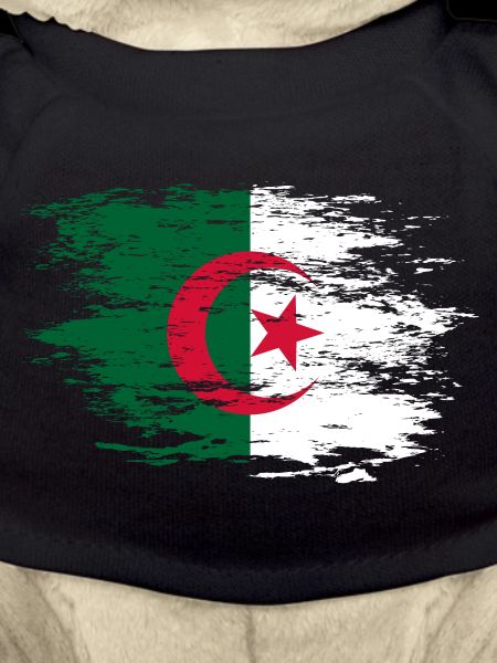 Drapeau de l’Algérie utilisé