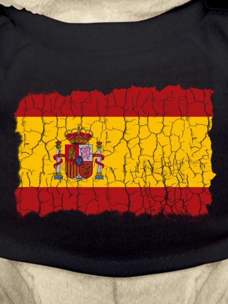 Espagne Drapeau Espania
