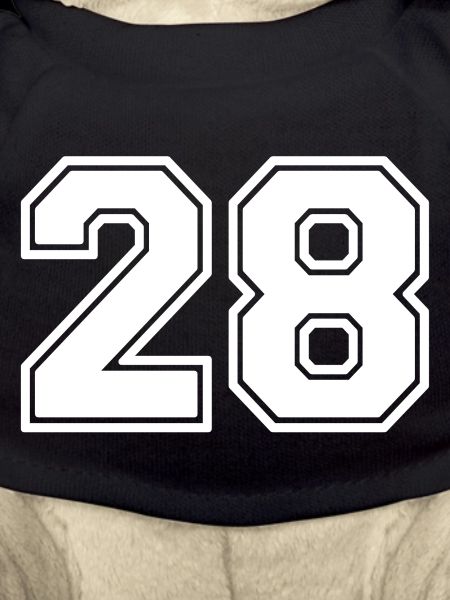 28