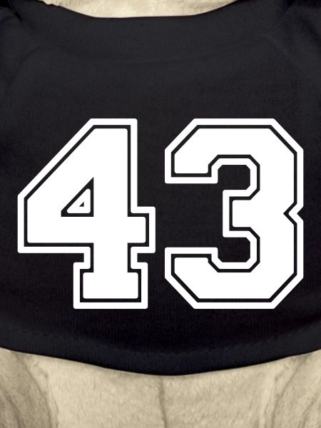 43