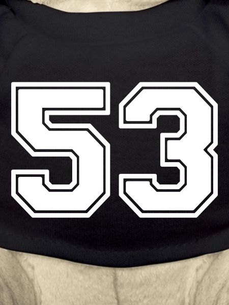 53