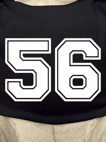 56