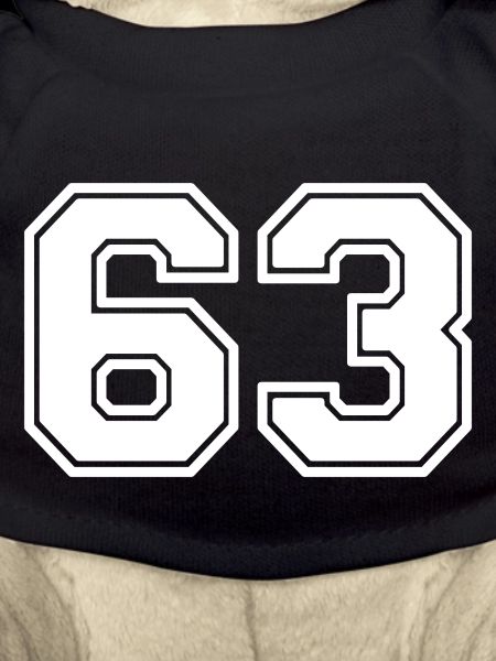 63