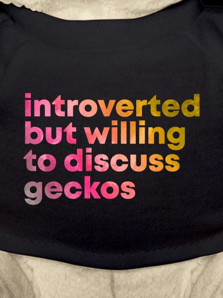 Gecko Gecko Gecko