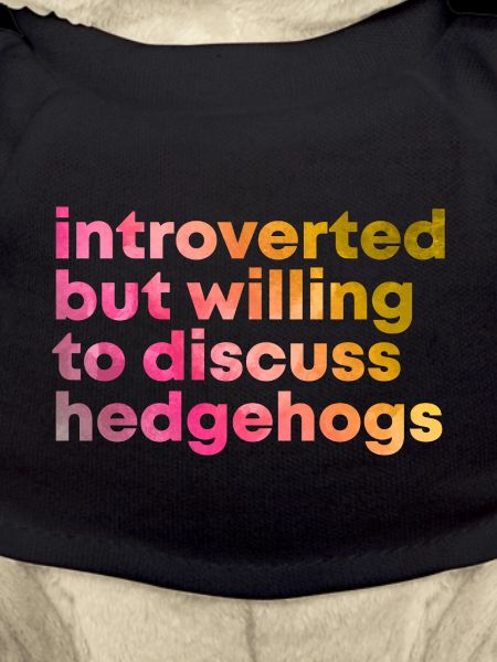 Hedgehog Hedgehog Hedgehog