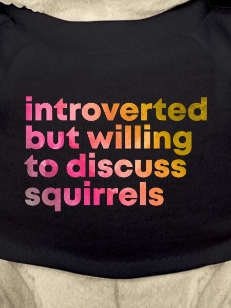 Squirrel Squirrel Squirrel