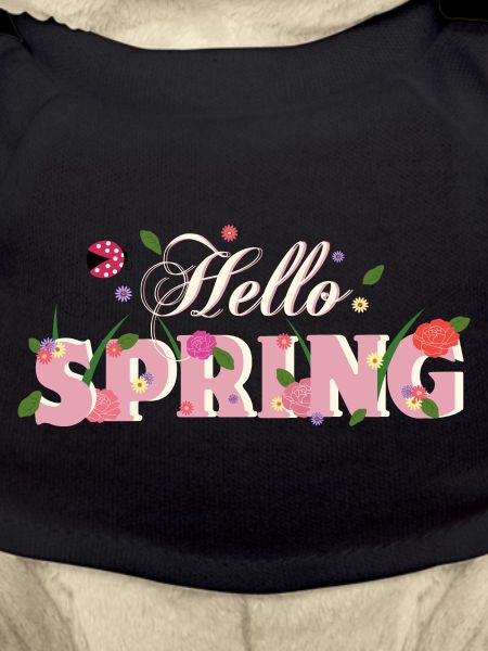 hello spring