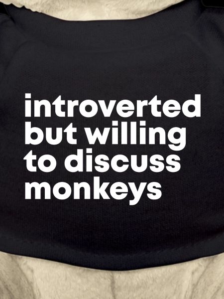 Singe Singe Singe