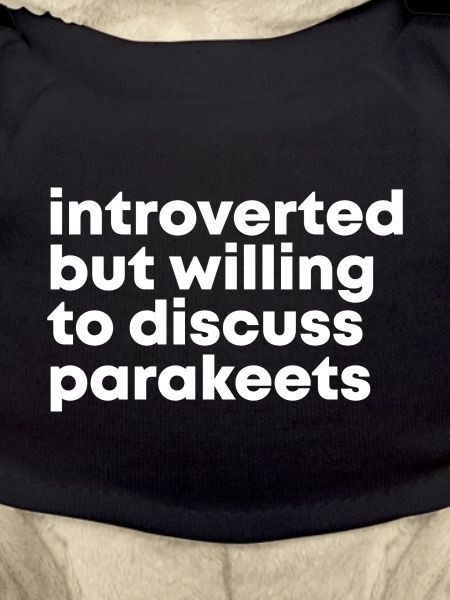 Parakeet Parakeet Parakeet