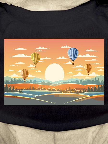 Hot Air Balloons