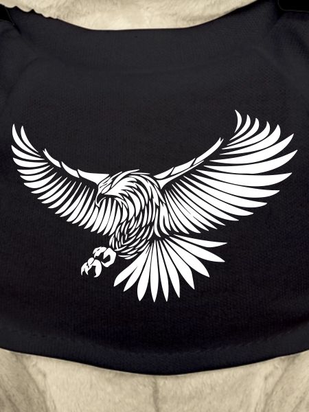 Heraldic Eagle Power