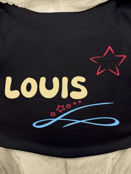 Gift for Louis
