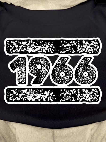 1976 Rétro Célébration Design