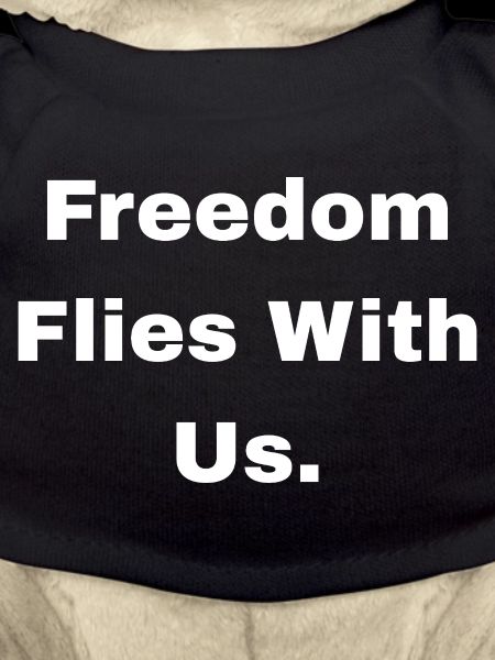 Air Force Freedom Tee