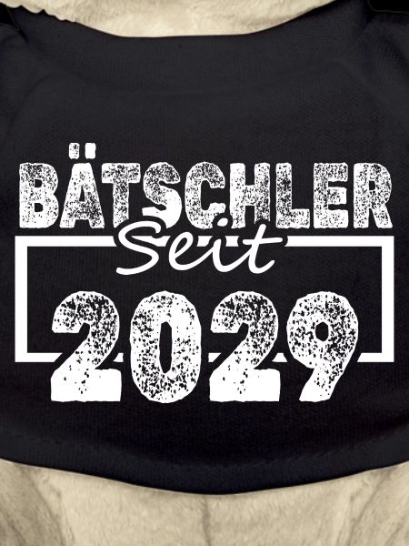 Célibataire 2029