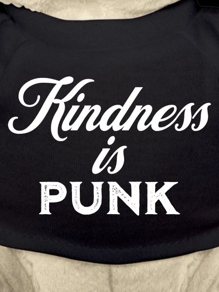 Kindness is Punk