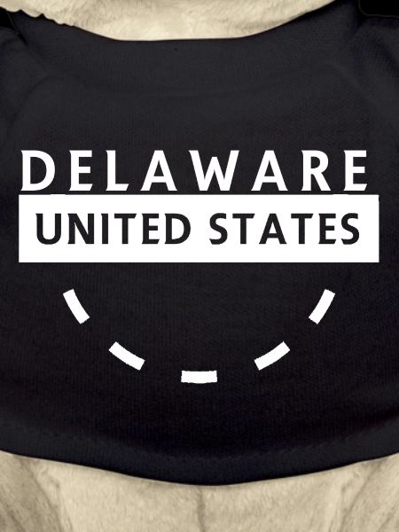 Delaware State Emblem Circular Badge