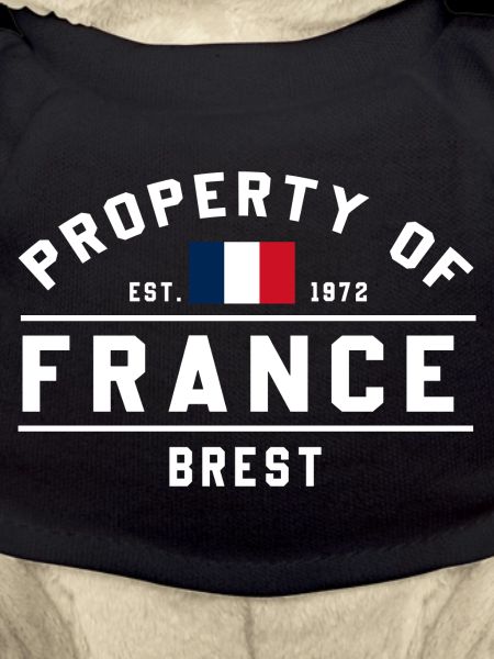 French Ownership Brest Logo