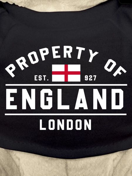 England Flag Emblem Tee