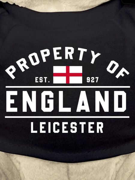 Angleterre Leicester Motif Drapeau Rétro