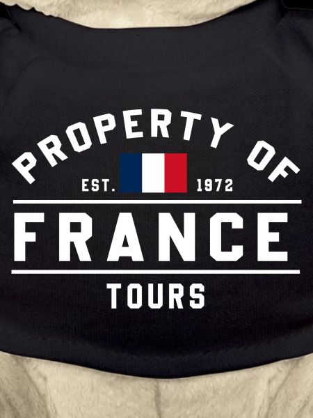 Circuits immobiliers français