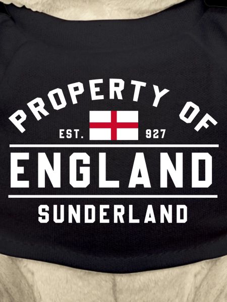 England Property Sunderland