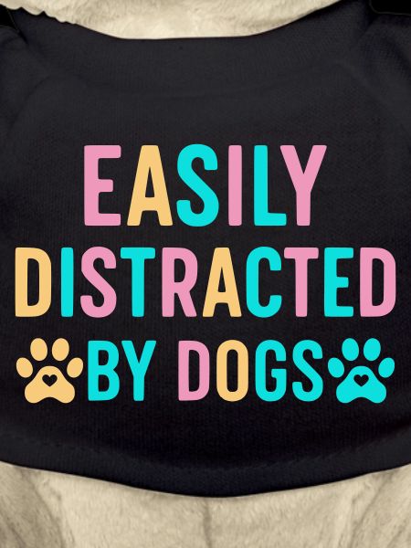 Easily distracted by dogs