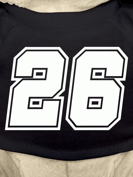 Numéro 26