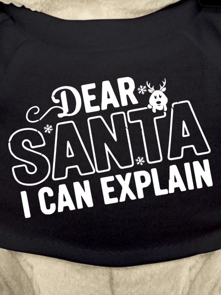 Dear Santa I Can Explain